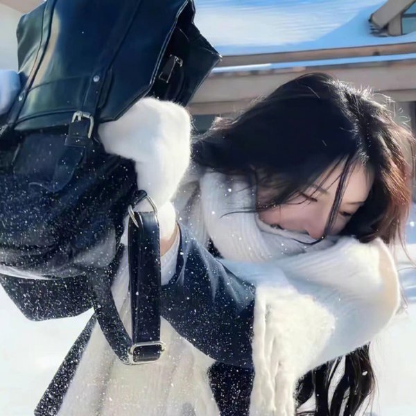 莉莉小姐的超完美日记