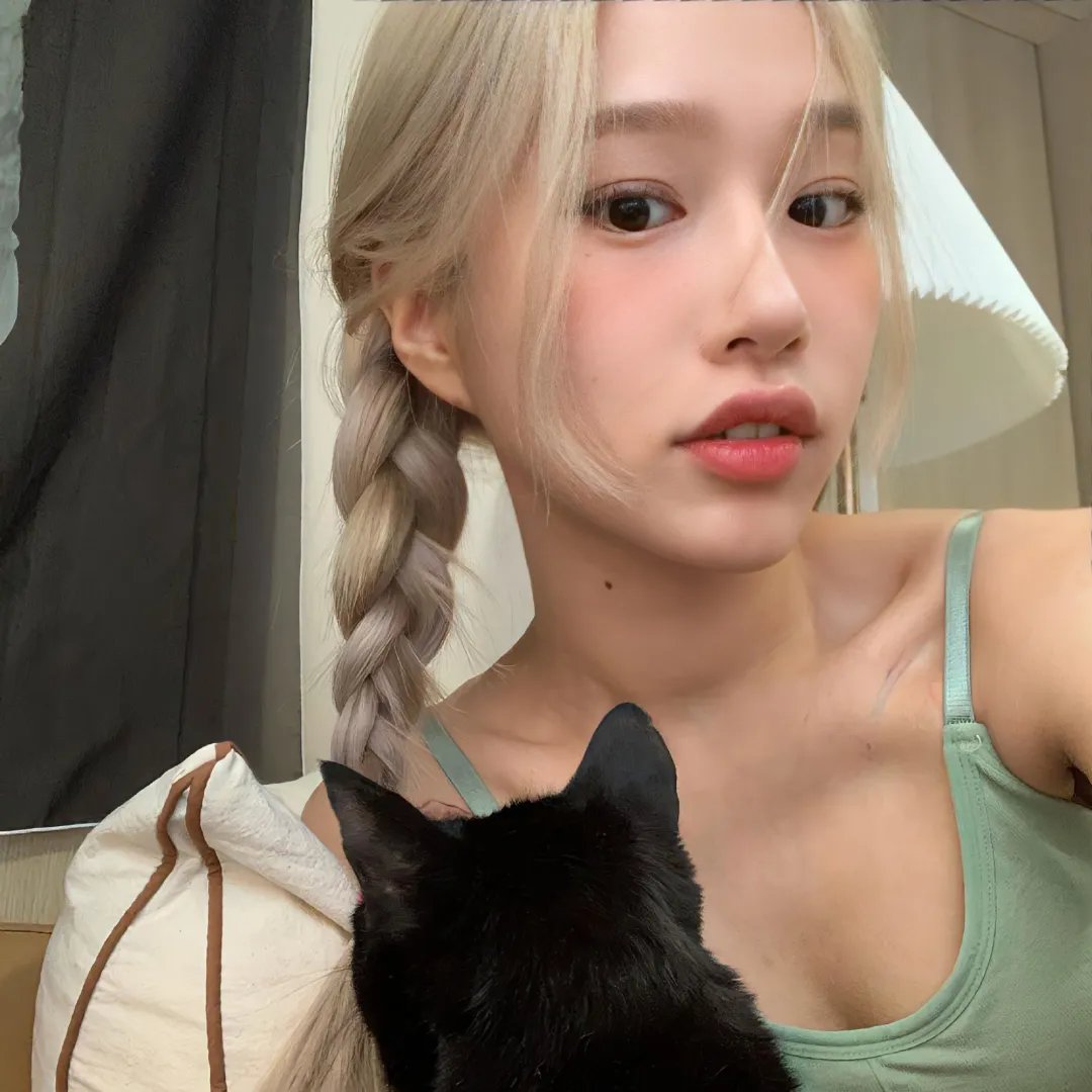 超完美狗保姆